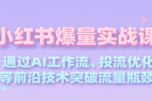 小红书爆量实战课，通过AI工作流、投流优化等前沿技术突破流量瓶颈
