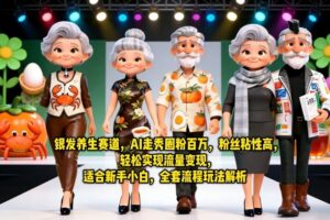 银发养生赛道，AI走秀圈粉百万，粉丝粘性高，轻松实现流量变现，适合新手小白，全套流程玩法解析