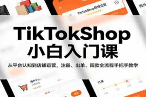 TikTokShop小白入门课：从平台认知到店铺运营，注册、出单、回款全流程手把手教学