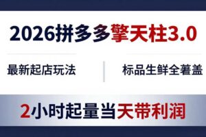 （18128期）2026拼多多擎天柱 3.0-更新4月20：最新起店玩法，标品生鲜全覆盖，2小时起量当天带利润