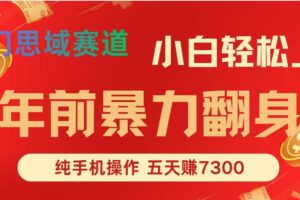 年前爆火项目，5天赚了7300
