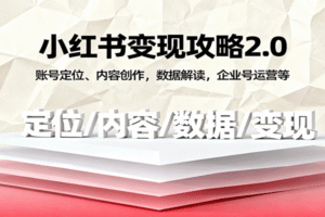 小红书变现攻略2.0：账号定位、内容创作，数据解读，企业号运营等
