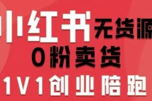 小红书无货源0粉电商课，开店准备、选品策略、笔记撰写、视频剪辑、数据分析、账号打造、资料文档（更新26年2月）