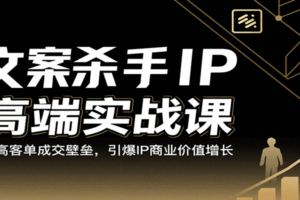 文案杀手IP高端实战课：破高客单成交壁垒，引爆IP商业价值增长