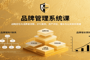 品牌管理系统课：战略定位与消费者洞察，DTC案例、资产评估，增长与公关体系搭建