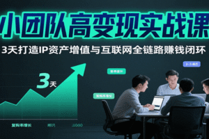 小团队高变现实战课，3天打造IP资产增值与互联网全链路赚钱闭环（第二期）